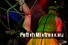 Torture Garden, Fetish party