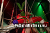 Torture Garden, Fetish party